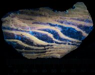 Stromatolite, Zebra, Middle Eocene, Green River Fm., Tipton Shale Mbr., Cedar Mountain, Park C...jpg
