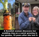 Wedding Ring Found On Carrot In Garden.jpg
