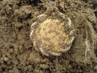 Mojave - Gold Coin - 6 Silver Dimes 019.jpg