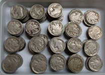 2017 buy 173 Buffalo nickels with dates.jpg
