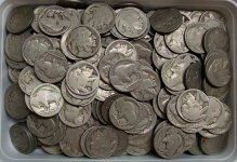 2017 buy 267 Buffalo nickels without dates.jpg