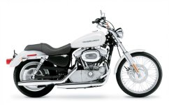 2004-Harley-Davidson-XLSportster883Customa.jpg