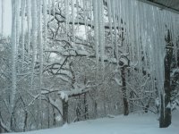 Our Icicles #3.jpg