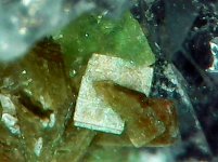 Sincosite on quartz T-orebody PSS Garland Co DRO JMH JMH 25X.jpg