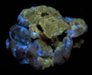 Phlogopite and Forsterite Badakshan, Afghanistan SW UV 254 nm obverse.jpg