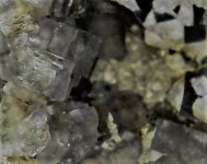 Fluorite with petrol inclusions Eureka prospects, Marion, Crittenden Co., KY 15X natural light.jpg