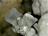 Calcite on druzy quartz, Halls Gap, KY, 25X, natural light.jpg