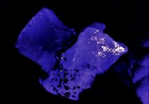 Calcite on druzy quartz, Halls Gap, KY, 30X, LWUV 365nm.jpg