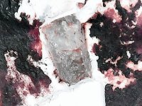 gray crystals in clay, COD Park, Pike Co., AR 15X .jpg