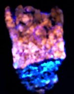 Afganite crystals  on matrix, Badakhshan, Afganistan, Miniature, LWUV 365nm.JPG