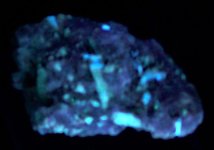 Tremolite in calcite, Franklin Mine, Sussex Co., NJ, Large Miniature, SWUV 254nm.JPG