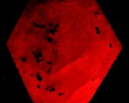 Ruby, polished crystal, India, 10X, filtered LWUV 365nm.jpg
