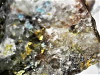 Mix fl. minerals01, Potter Cramer Mine, Maricopa Co., AZ 20X natural light.jpg