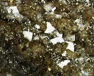 Dolomite02 with hydrocarbon inclusions, Rensselaer Quarry, Pleasant Ridge, Jasper Co., IN 20X na.JPG