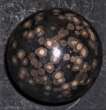 Scapolite, Marialite, in Ferro-hornblende, Andhra Pradesh, India, 2 in. sphere, natural light .JPG