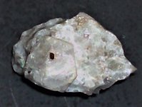 Marialite, Scp Grp in calcite marble matrix, Badakhshan, Afghanistan, FOV=1.5 in, natural light.JPG