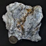 Tremolite in marble, Nellie Ulmer Marble Qy., Rockland, Knox Co., Maine, US dime for size, natur.JPG