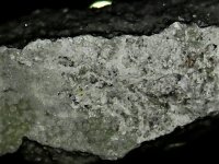 Metamunirite NaVO3, Burro Mine, Slick Rock District, San Miguel Co., CO (TL), 10X, natural light.jpg