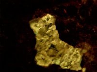 Vlasovite, Gittinsite (not fl.) in Eudialyte, Kipawa alkaline complex, Quebec, Canada, 10X, SW 2.jpg