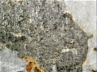 Calcite, tephroite with exsolved willemite, franklinite, Franklin Mine, Franklin, Sussex Co., ...JPG