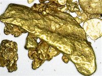 Gold, Alluvial 02 Western USA JMH 20X.jpg