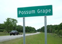 possum.grape.jpg