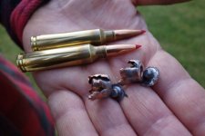 mushroomed bullets.jpg