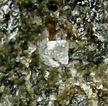 Powellite crystal, Hwy 80 prospect, north of Rodeo, Hidalgo Co., NM crystal is ~1 mm, natural li.jpg
