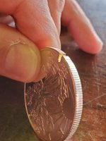 Fake Coin.jpg