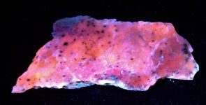 Tremolite & Talc, near Thousand Islands area, Fowler, St. Lawrence Co., NY FOV ~4 in., LW UV 365.jpg