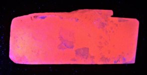 Mangano calcite Hilmand, Afghanistan FOV 4.5 in, 365nm LW UV.jpg