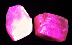 Calcite, Terlingua, Brewster Co., Texas 1.5 in. specimens LWUV 365 nm.jpg