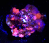 Spinel with Phlogopite on carbonate matrix Baddakshan, Afghanistan FOV 3.5 in., LW UV 365 nm, re.jpg