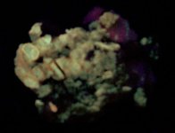 Spinel with Phlogopite on carbonate matrix Baddakshan, Afghanistan FOV 3.5 in., SW UV 254 nm, re.jpg
