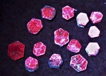 Rubies, 95.3 carats, Africa, FOV=2.0 in, unfiltered LW 365nm.JPG