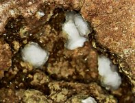 Strontianite blebs on dolostone, Mackville qy., N of Appleton, Outagamie Co., WI, 10X, natural...jpg