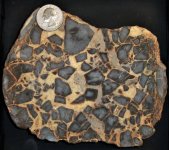 Calcite & Aragonite cemented Separian Nodule, Muddy Creek Dig, near Hurricane, Utah, US qtr fo...JPG