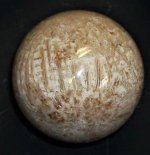 Silicified colonial coral sphere, Phillipine Islands, 2.38 in. diameter, natural light01.JPG