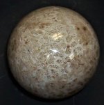 Silicified colonial coral sphere, Phillipine Islands, 2.38 in. diameter, natural light02.JPG