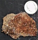 Aragonite, Ulea Deposit, Murcia, Spain, US dime for scale, natural light.JPG