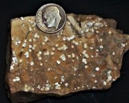 Dawsonite, Selvena, Grosseto Province, Tuscany, Italy, US dime for scale, natural light.JPG