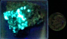 Schrockingerite crystals, Isolagrande Mine, Murialdo, Savona, Liguria, Italy, US dime for scal...JPG