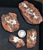 Calcite Septaria, Nacimiento Mine area, San Pablo, Sandoval County, New Mexico, US dime for sc...JPG