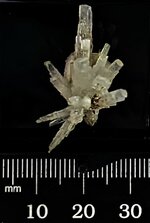 Natrolite crystal cluster, Poudrette Qy., Mont St. Hilaire, Quebec, Canada, natural light.jpg
