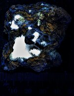 Strontianite & minor Calcite, Susquehanna Qy., East Salem, Juniata Co., PA, LW 365nm.jpg