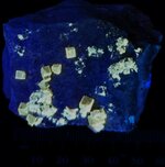 Fluorite, Stoneco White Rock Qy., Clay Center, Allen Twnsp., Ottawa Co., OH, SW 254nm.jpg