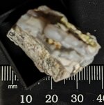 Chalcedony, Western USA, no specific site given, natural light.jpg