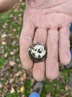 IMG_5644.jpeg