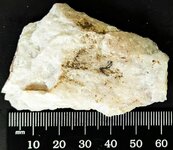 Sellaite & Fluorite, Fontsante Mine, Draguignan, Var, Provence Alps-Cote d'Azur, France, natur...jpg