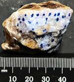 Lazurite spots in sodalite on phlogopite, Badakhshan, Afghanistan, natural light.jpg